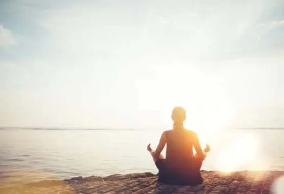 Alpha Switch Official website